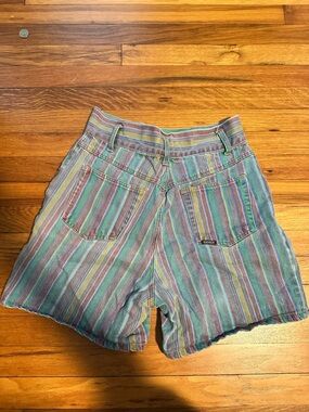 Squeeze Multicolor Striped Denim Shorts